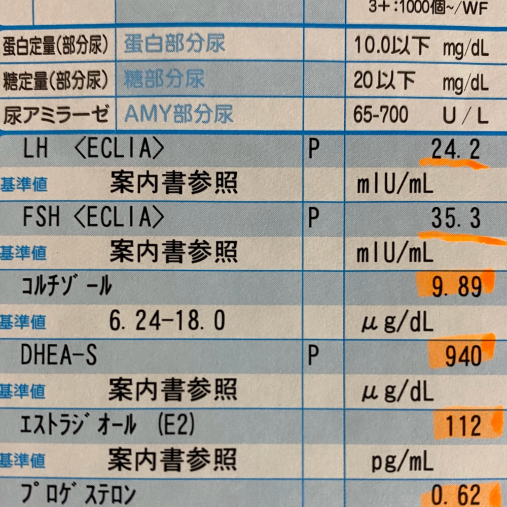 痩せるダイエットと若返るダイエットの違い 更年期からはホルモンと上手につきあう 敵は内臓脂肪 日経xwoman Terrace